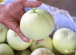 五一吃瓜今日必吃大瓜网黄,揭秘今日必吃大瓜网黄风云